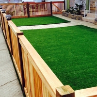 Synthetic Grass Astor, Florida Landscape Design, Front Yard Ideas