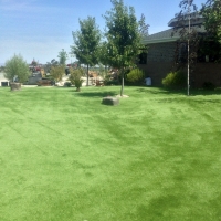 Synthetic Grass Citrus Springs, Florida Cat Playground, Parks