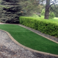 Synthetic Grass Cost Four Corners, Florida Landscaping