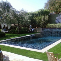 Synthetic Grass Cost Lake Kathryn, Florida Landscape Ideas, Swimming Pools