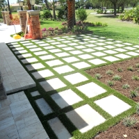 Synthetic Grass Cost Loughman, Florida Backyard Playground, Backyard Landscape Ideas