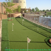 Synthetic Grass Fruit Cove, Florida Indoor Putting Green, Backyards