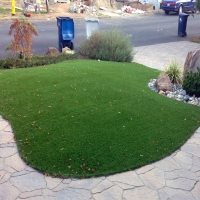 Synthetic Grass Fruit Cove, Florida Garden Ideas