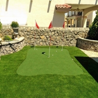 Synthetic Grass Lakeside, Florida Landscape Ideas, Small Backyard Ideas