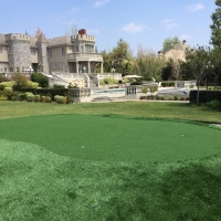 Synthetic Lawn Hastings, Florida Diy Putting Green, Front Yard