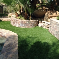 Synthetic Lawn Pine Ridge, Florida Watch Dogs, Backyard Ideas