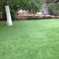 Synthetic Lawn South Daytona, Florida Landscape Ideas, Beautiful Backyards