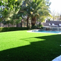 Synthetic Lawn Winter Park, Florida Lawn And Garden, Above Ground Swimming Pool