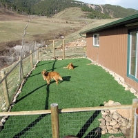 Synthetic Turf Astor, Florida Dog Run, Dog Kennels