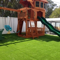 Synthetic Turf Bay Hill, Florida Garden Ideas, Backyard Ideas