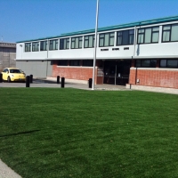 Synthetic Turf Fort White, Florida City Landscape, Commercial Landscape