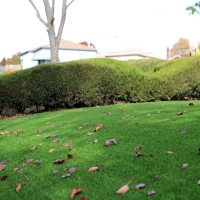 Synthetic Turf Hampton, Florida City Landscape, Front Yard Landscaping Ideas