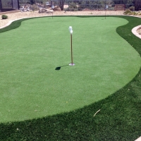 Synthetic Turf New Smyrna Beach, Florida City Landscape, Beautiful Backyards