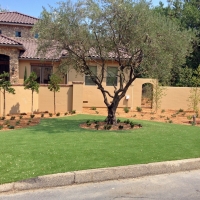 Synthetic Turf Oak Hill, Florida Roof Top, Front Yard Landscaping Ideas