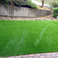 Synthetic Turf Supplier Alafaya, Florida Backyard Playground, Backyard