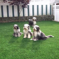 Synthetic Turf Supplier Geneva, Florida Design Ideas, Backyard Garden Ideas