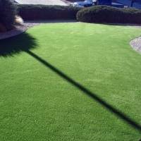 Synthetic Turf Supplier Holden Heights, Florida Gardeners, Front Yard Ideas