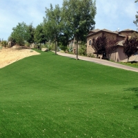 Synthetic Turf Supplier Horseshoe Beach, Florida Lawn And Landscape, Front Yard Landscaping