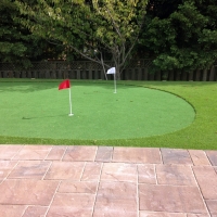 Synthetic Turf Supplier Inverness, Florida Indoor Putting Greens, Backyard Landscape Ideas