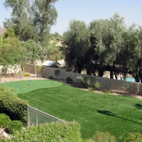 Synthetic Turf Supplier Lake Lindsey, Florida Garden Ideas, Backyard Makeover