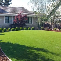 Synthetic Turf Supplier Lecanto, Florida Landscaping Business, Landscaping Ideas For Front Yard