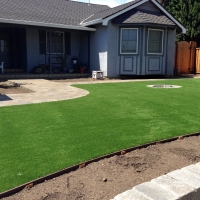 Synthetic Turf Supplier Leesburg, Florida City Landscape, Small Front Yard Landscaping