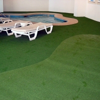 Synthetic Turf Supplier Lockhart, Florida Landscape Photos, Natural Swimming Pools