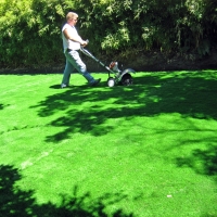 Synthetic Turf Supplier Minneola, Florida Lawn And Garden, Backyard Makeover