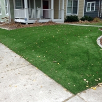 Synthetic Turf Supplier Oakland, Florida Design Ideas, Front Yard Landscape Ideas