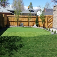 Synthetic Turf Supplier Ponce Inlet, Florida Backyard Putting Green, Backyard Garden Ideas