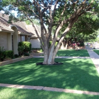 Turf Grass Azalea Park, Florida Backyard Deck Ideas, Front Yard Design