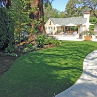 Turf Grass Center Hill, Florida Landscape Photos, Commercial Landscape