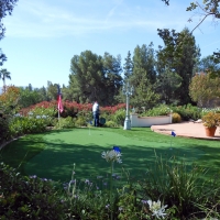 Turf Grass Hastings, Florida Design Ideas, Beautiful Backyards