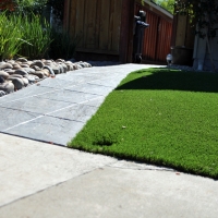 Turf Grass Inverness Highlands North, Florida Landscaping, Front Yard Ideas