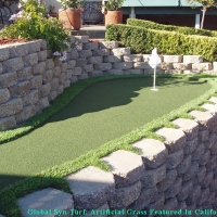 Turf Grass Nassau Village-Ratliff, Florida Diy Putting Green, Backyard Landscaping