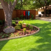 Turf Grass Southchase, Florida Landscape Design, Small Backyard Ideas