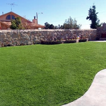 Artificial Grass Alachua, Florida Landscape Ideas, Backyard Designs