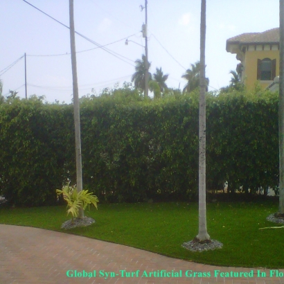 Artificial Grass Baldwin, Florida Roof Top, Front Yard Ideas