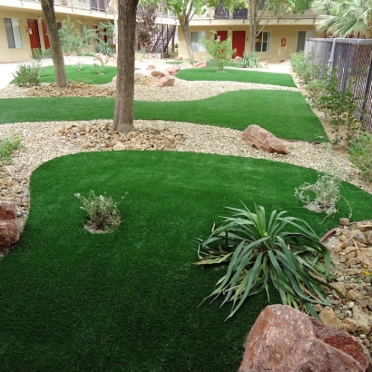 Artificial Grass Carpet Cocoa, Florida City Landscape, Commercial Landscape