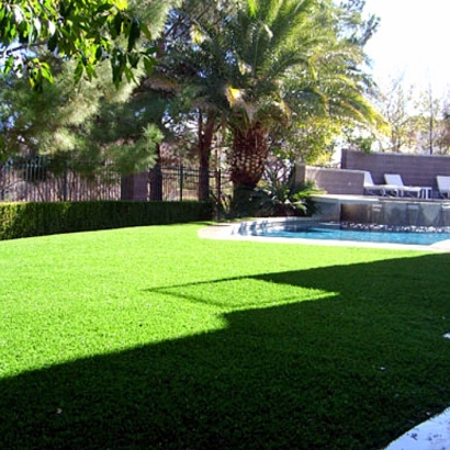 Artificial Grass Carpet Hernando Beach, Florida Lawn And Garden, Backyard Landscaping