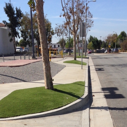 Artificial Grass Carpet Loughman, Florida Lawn And Garden, Commercial Landscape