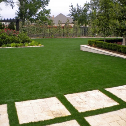 Artificial Grass Carpet Welaka, Florida Lawn And Garden, Small Backyard Ideas