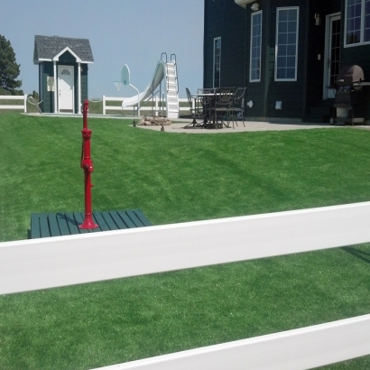 Artificial Grass Carpet Zephyrhills, Florida Backyard Playground, Front Yard Landscape Ideas