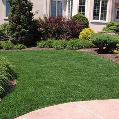 Artificial Grass Glencoe, Florida Lawn And Garden, Front Yard Ideas