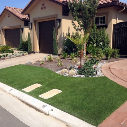 Artificial Grass Hernando, Florida Lawn And Landscape, Front Yard Landscaping