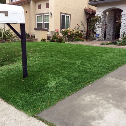 Artificial Grass Installation Hawthorne, Florida Landscape Photos, Front Yard Landscaping