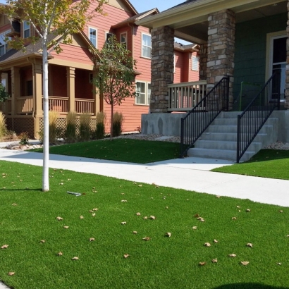 Artificial Grass Installation Saint Augustine, Florida Gardeners, Front Yard Ideas