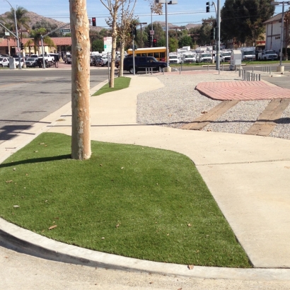 Artificial Grass Oak Ridge, Florida Landscape Photos, Commercial Landscape