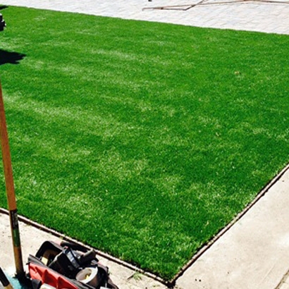 Artificial Grass Seville, Florida Home And Garden