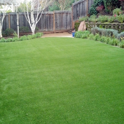 Artificial Grass Wacissa, Florida Garden Ideas, Backyard Designs